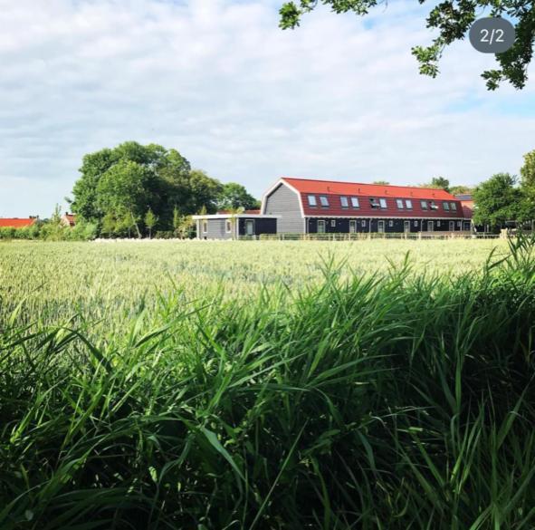 Vakantiewoning de Schelp Ellemeet Buitenkant foto