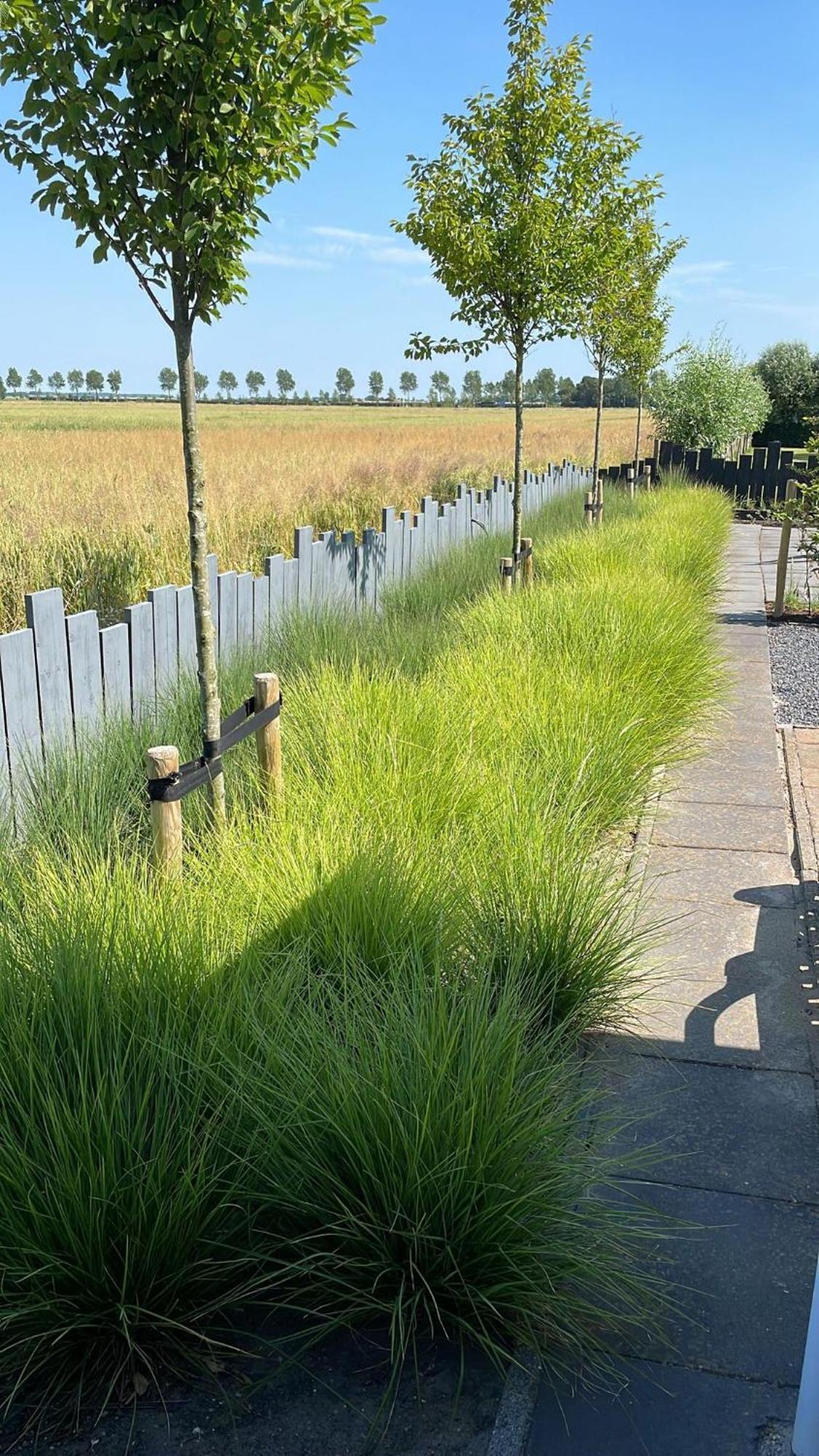 Vakantiewoning de Schelp Ellemeet Buitenkant foto